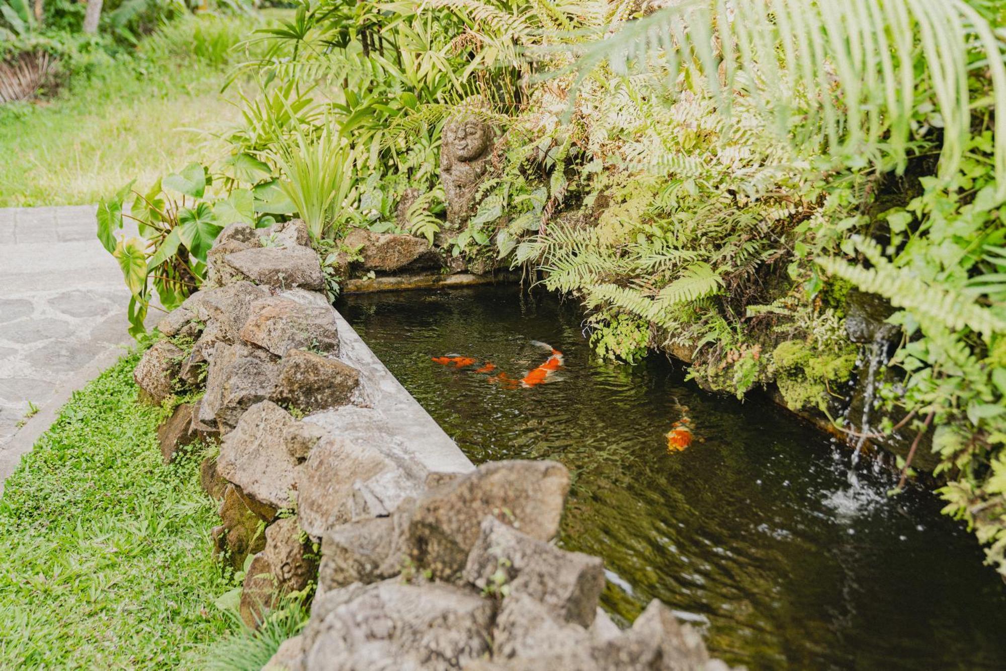 Sweet Orange Pondok Ubud  Exterior photo