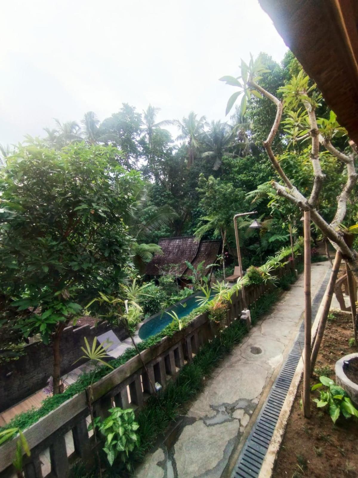 Sweet Orange Pondok Ubud  Exterior photo